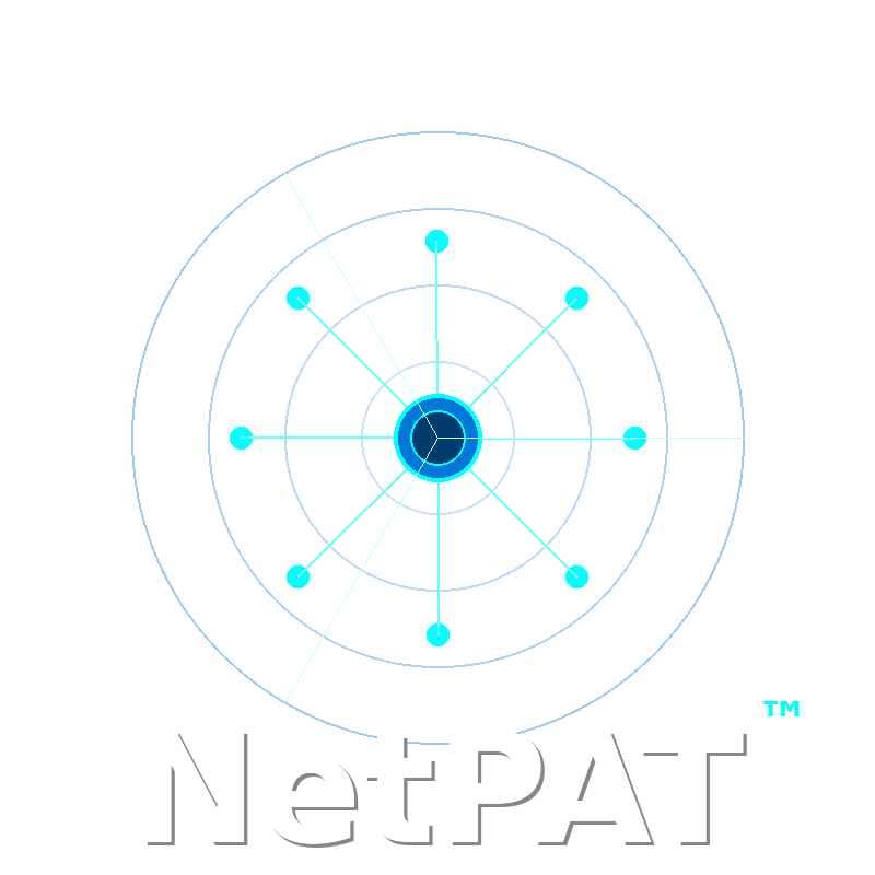 Netstat Port Analyzer Tool - NetPAT™